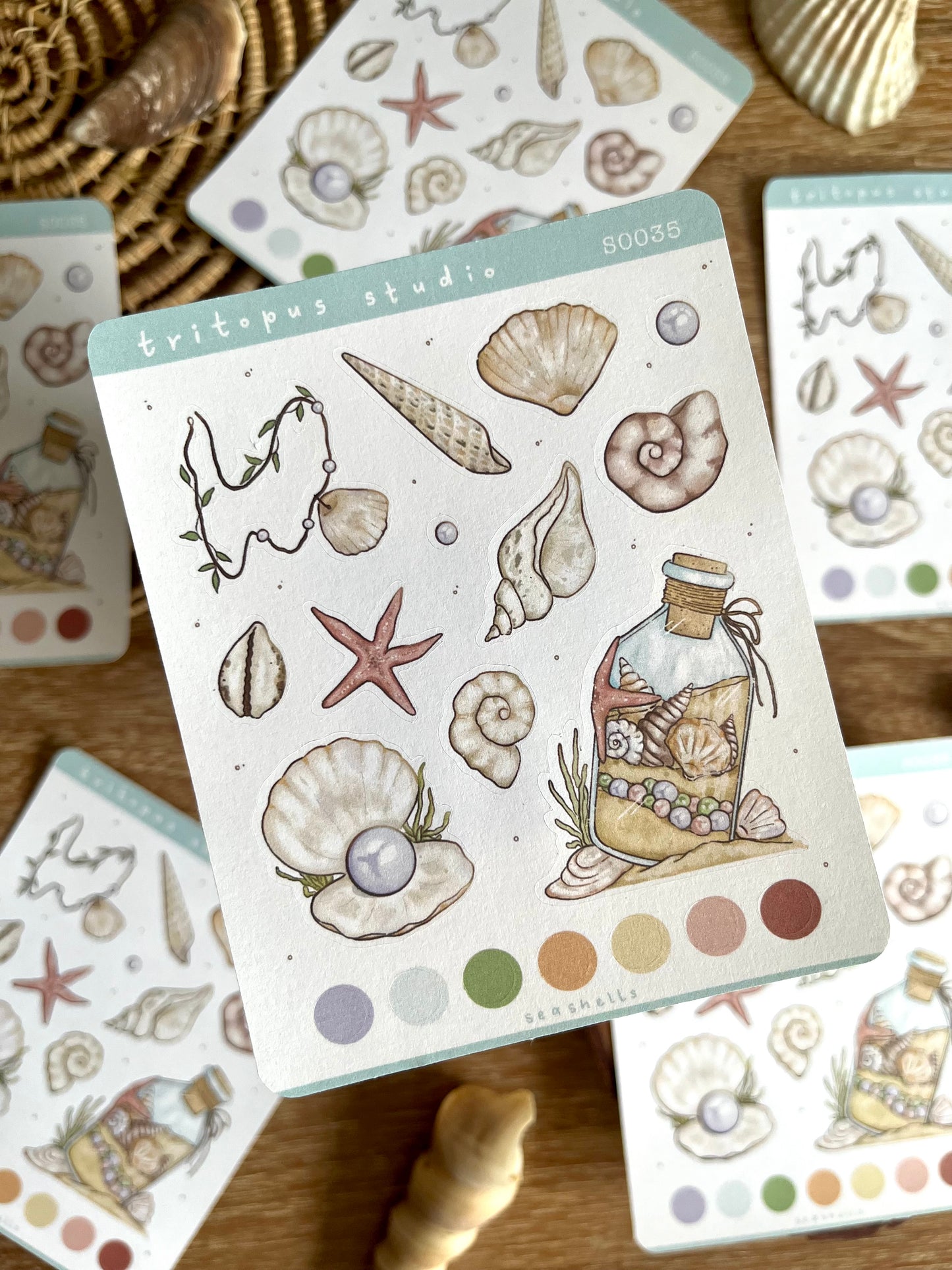seashell stickersheet
