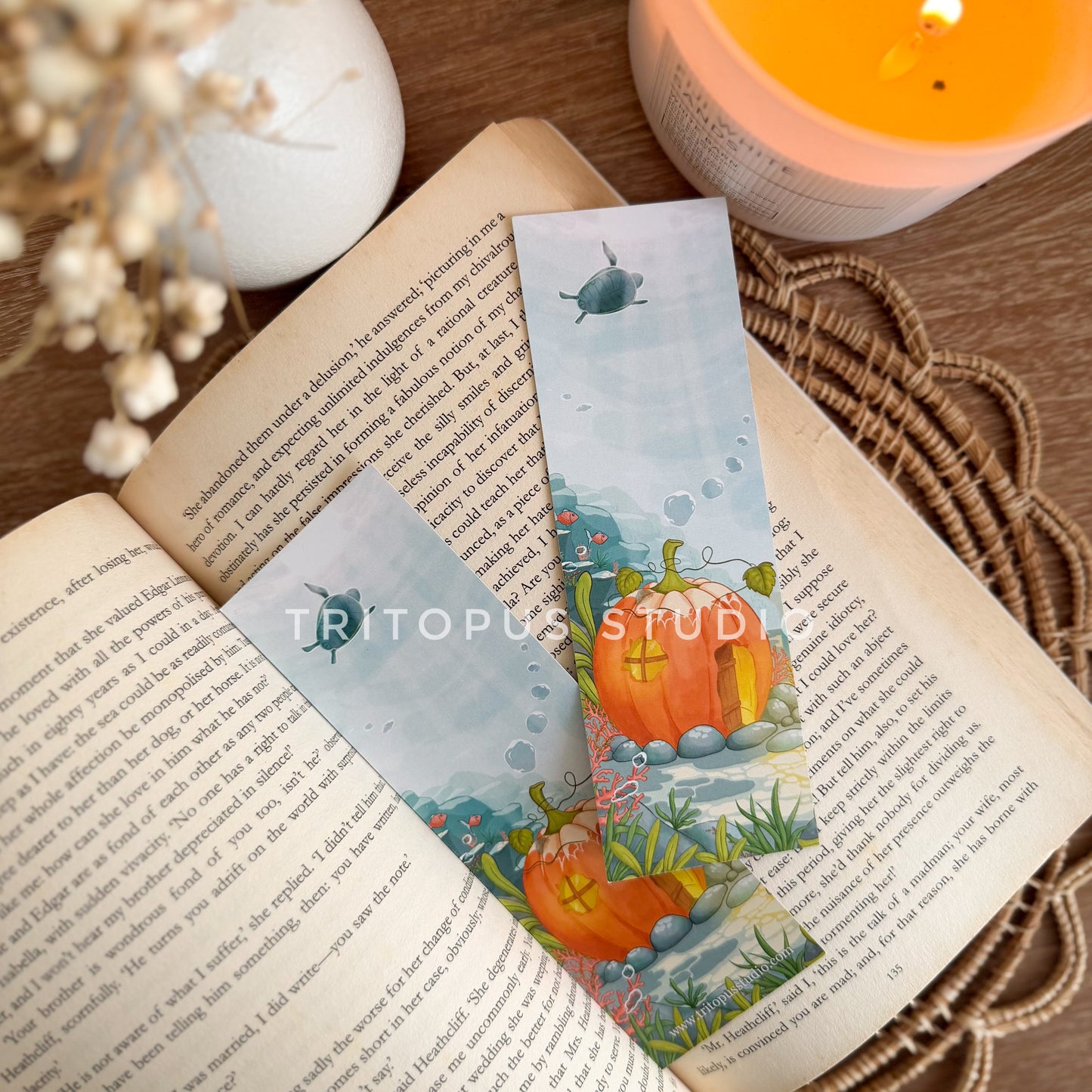 enchanted pumpkin reefs bookmark