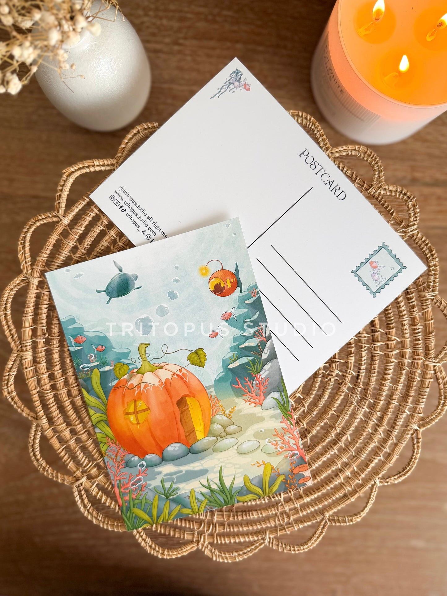 enchanted pumpkin reef postcard